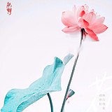藕花深处的头像