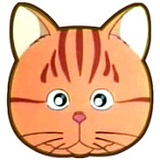 猫铭的头像