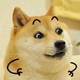 阿瓦达肯大瓜的头像