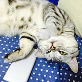 用户头像