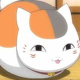 二哈家的猫的头像