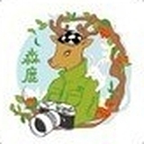 摄影师森鹿的头像