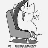翻身做咸鱼的头像