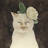 穿鞋的猫z的头像