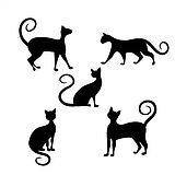 我就是猫猫的头像