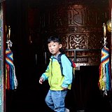 大熊扑通的头像