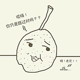 知智者的头像