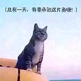 鱼塘的猫塘主的头像
