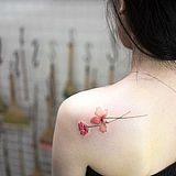 花猫77的头像
