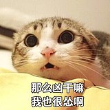你好棒棒的头像