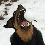 JZB江生的头像