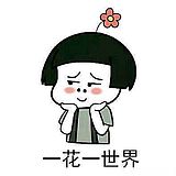 cccyr的头像