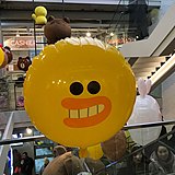 IvyYinan的头像