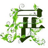 zengmumu的头像