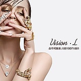 Vision_L的头像