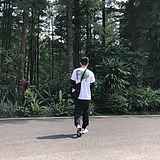 bear啊的头像