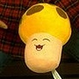 言徵的头像