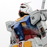 JOKER524的头像