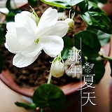 CorryM的头像