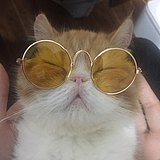 superLYH的头像