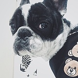 Charles_Tsai的头像