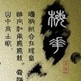 YuLing1的头像