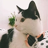 了了_HOLIDAY的头像