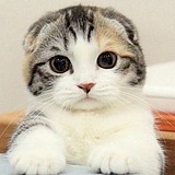 promise909的头像