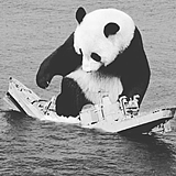 用戶(hù)頭像