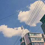 CotyNong的头像