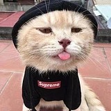 吉瑞弗的头像