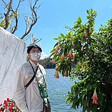 加菲jw的头像