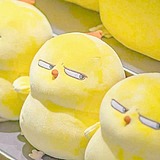 是李大漂亮的头像