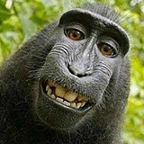 JustinMind的头像
