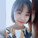 ALISACHENJINGJIE的头像