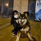 果达丶的头像