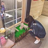 淘气的熊的头像