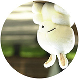 硒之谷的头像