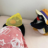 西北之川的头像