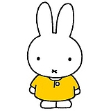 miffy27的头像