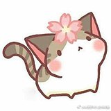 赴客的头像