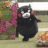 lxy12842347的头像