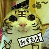 丶吴盼盼的头像