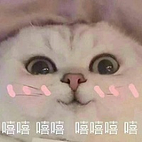 Amon__的头像