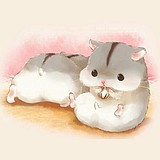 UMR不明生物的头像