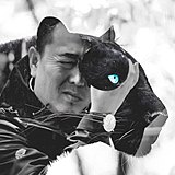 哲艺的头像