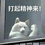 青子涵lews的头像