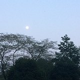 飞飞z的头像