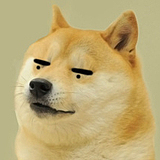 苏代止的头像