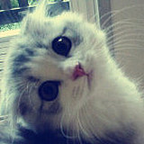 sisi_liu0528的头像